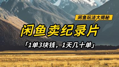闲鱼卖纪录片,简单又赚钱的小项目,1单3块钱 1天几十单-颜夕资源网-第18张图片 闲鱼卖纪录片,简单又赚钱的小项目,1单3块钱 1天几十单-颜夕资源网-第18张图片
