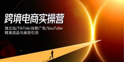 跨境电商实操营:独立站/TikTok/谷歌广告/YouTube,精准选品与高效引流-颜夕资源网-第18张图片 跨境电商实操营:独立站/TikTok/谷歌广告/YouTube,精准选品与高效引流-颜夕资源网-第18张图片
