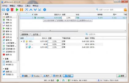 qBittorrent(强大的BT下载工具)v5.1.0.10中文绿色增强版-颜夕资源网-第18张图片 qBittorrent(强大的BT下载工具)v5.1.0.10中文绿色增强版-颜夕资源网-第18张图片