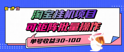 揭秘2025最新淘宝挂机项目,单号30-100,可矩阵批量操作(附工具)-颜夕资源网-第18张图片 揭秘2025最新淘宝挂机项目,单号30-100,可矩阵批量操作(附工具)-颜夕资源网-第18张图片
