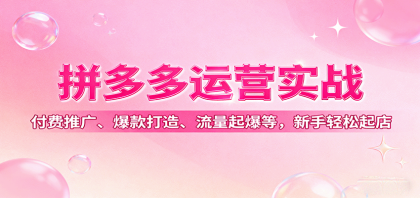 拼多多运营实战,付费推广、爆款打造、流量起爆等,新手轻松起店-颜夕资源网-第18张图片 拼多多运营实战,付费推广、爆款打造、流量起爆等,新手轻松起店-颜夕资源网-第18张图片