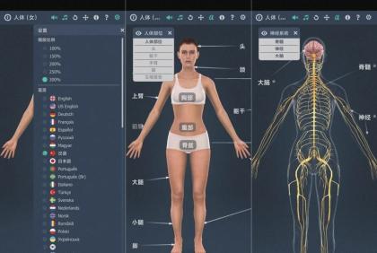 人体系统女性3D-1.0详细介绍女性全身系统~无广版-颜夕资源网-第18张图片 人体系统女性3D-1.0详细介绍女性全身系统~无广版-颜夕资源网-第18张图片