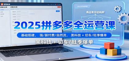 2025拼多多全运营课：基础搭建，强/弱付费/自然流，黑科技 + 切车/旺季爆单-颜夕资源网-第20张图片