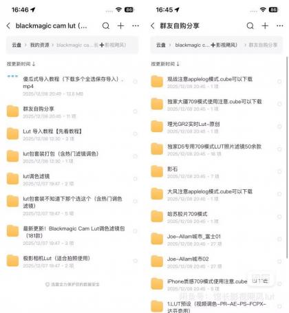 Blackmagic Cam Lut滤镜集合:影视飓风与馆长Lut专业调色方案,分类:⛴引流教程,发布时间:2025-12-20 Blackmagic Cam Lut滤镜集合:影视飓风与馆长Lut专业调色方案,分类:⛴引流教程,标签:Blackmagic Cam, Lut滤镜, 调色教程, 影视飓风, 专业调色