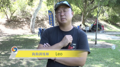 宠物训练-训狗教程Dog Training-颜夕资源网-第18张图片