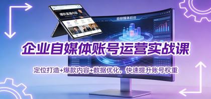 企业自媒体账号运营实战课：定位打造+ 爆款内容+数据优化，快速提升账号权重-颜夕资源网-第16张图片