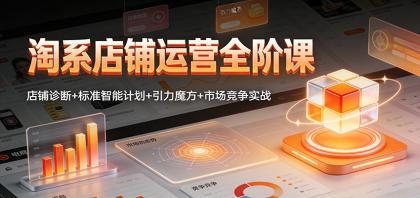 淘系店铺运营全阶课：店铺诊断+标准智能计划+引力魔方+市场竞争实战-颜夕资源网-第13张图片